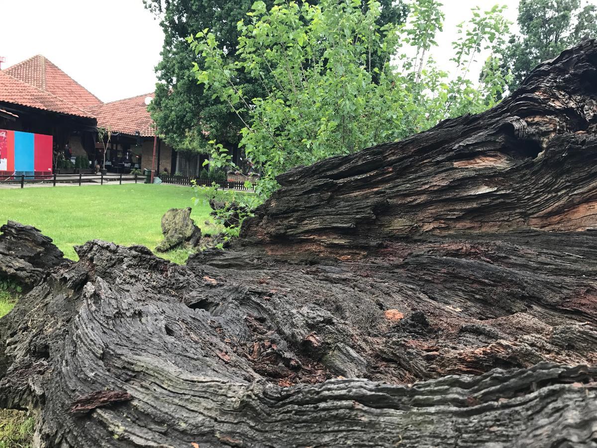 Motel Stari Hrast Markovac Dış mekan fotoğraf